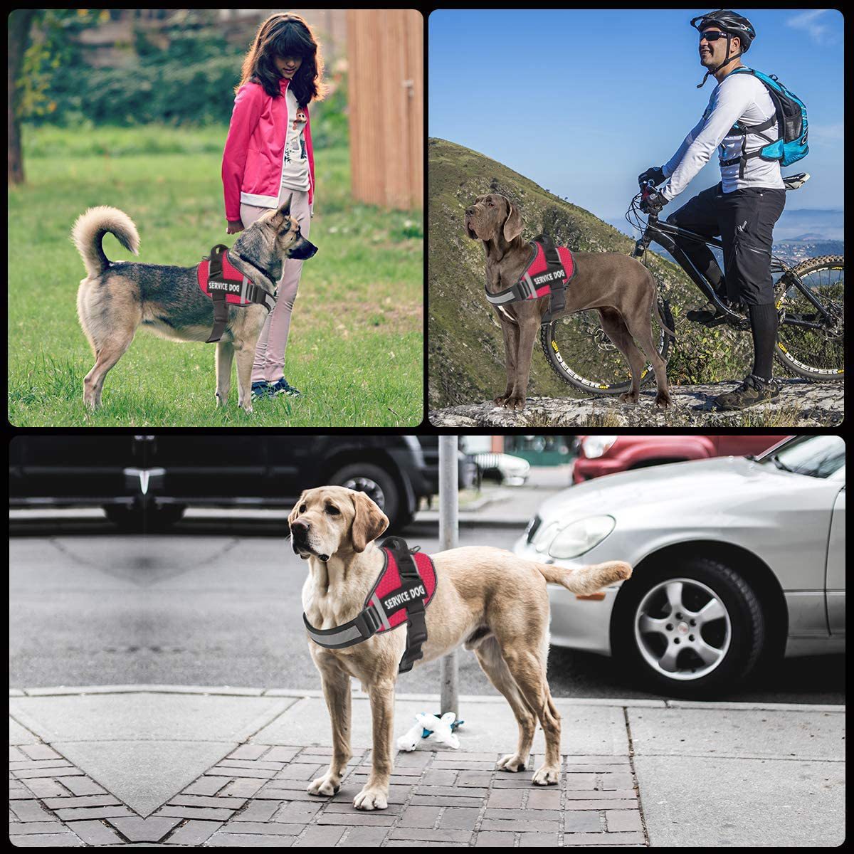 Reflective Comfortable Pet Harness with Leash