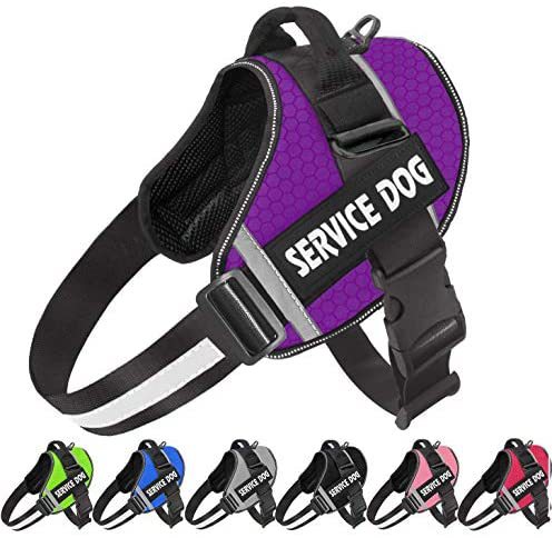 Reflective Comfortable Pet Harness with Leash