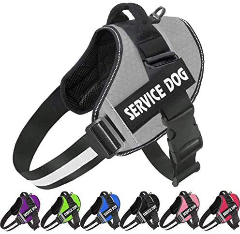 Reflective Comfortable Pet Harness with Leash