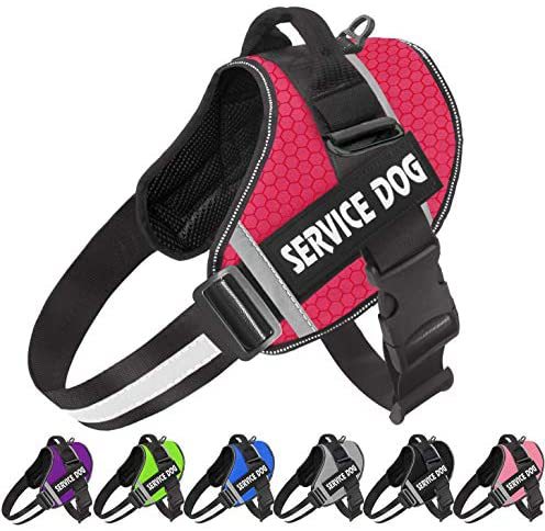 Reflective Comfortable Pet Harness with Leash