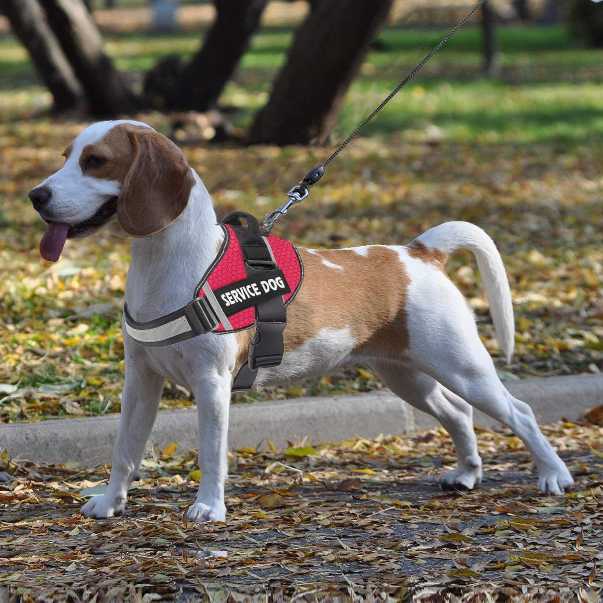 Reflective Comfortable Pet Harness with Leash