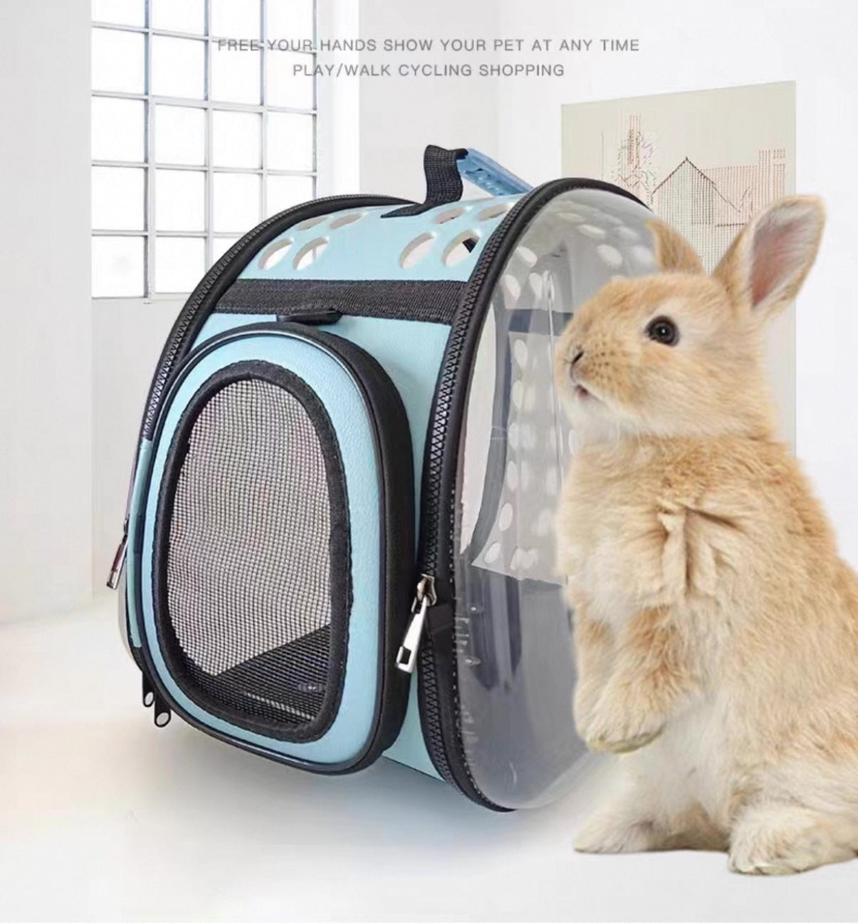 Transparent Pet Bag Space Capsule