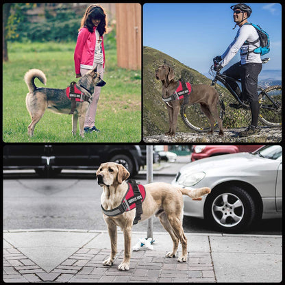 Reflective Comfortable Pet Harness with Leash