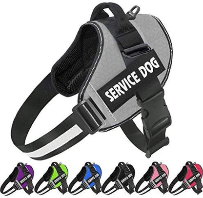Reflective Comfortable Pet Harness with Leash