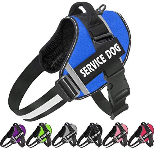 Reflective Comfortable Pet Harness with Leash