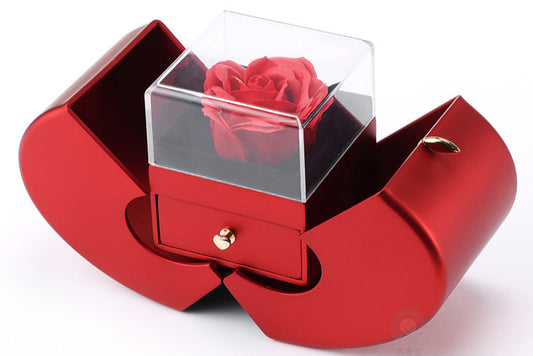 Apple Jewelry Gift Box