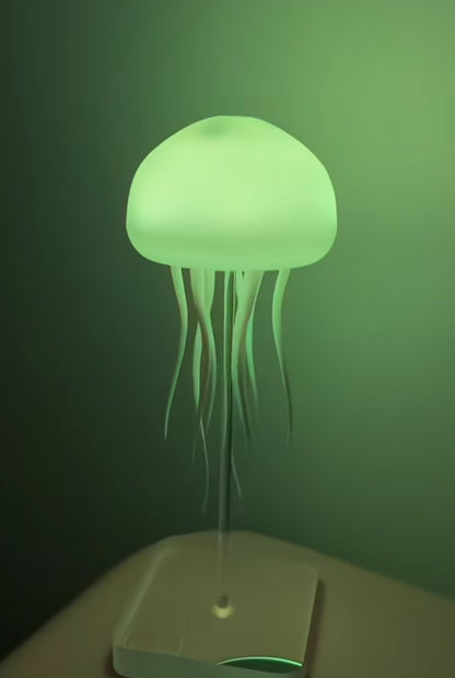 Jellyfish Lamp